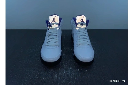 Retro Dark 5 Concord Jordan 0802